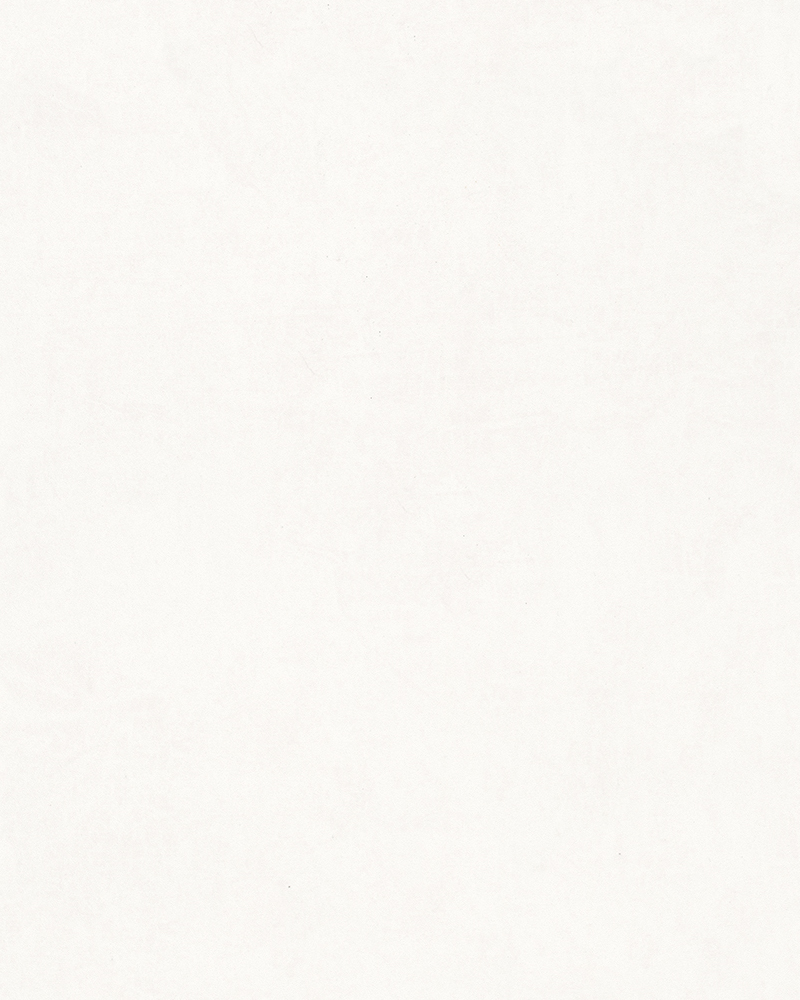 Papel tapiz Scirocco 31759