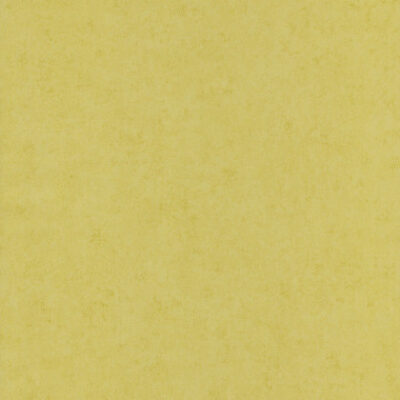 Papel Tapiz ColorBox 67922020