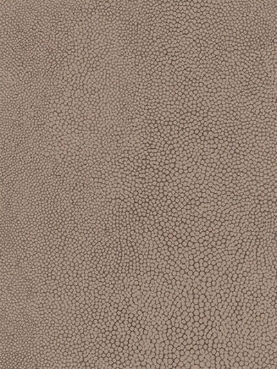 Papel Tapiz Natural FX 67467