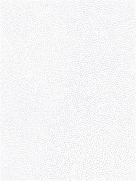 Papel Tapiz Natural FX 67470