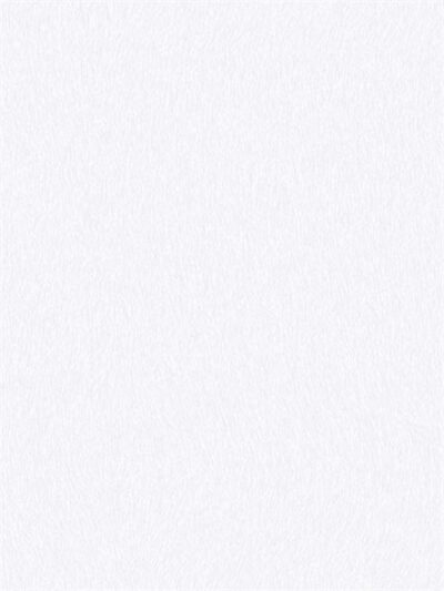 Papel Tapiz Natural FX 67496