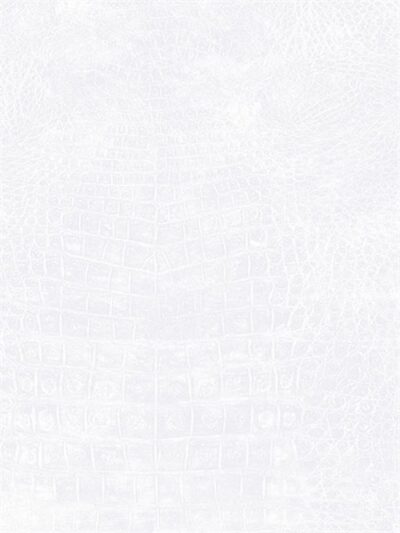 Papel Tapiz Natural FX 67508