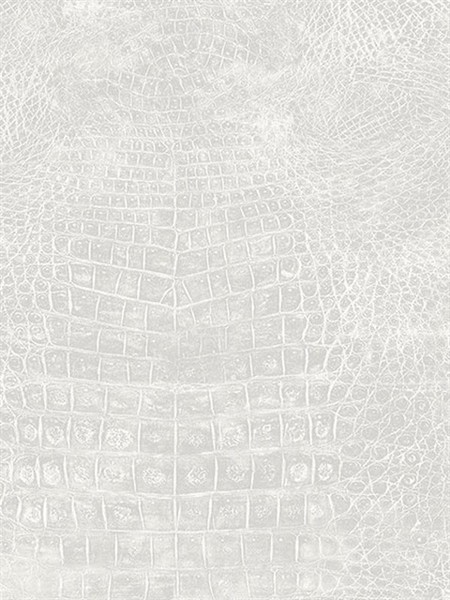 Papel Tapiz Natural FX 67509