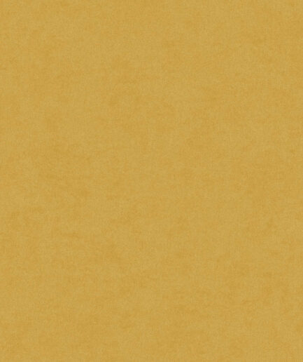 Papel Tapiz Affinity 240G-527