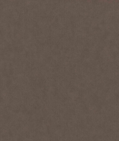 Papel Tapiz Grand Safari 220509